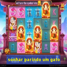 sonhar parindo um gato